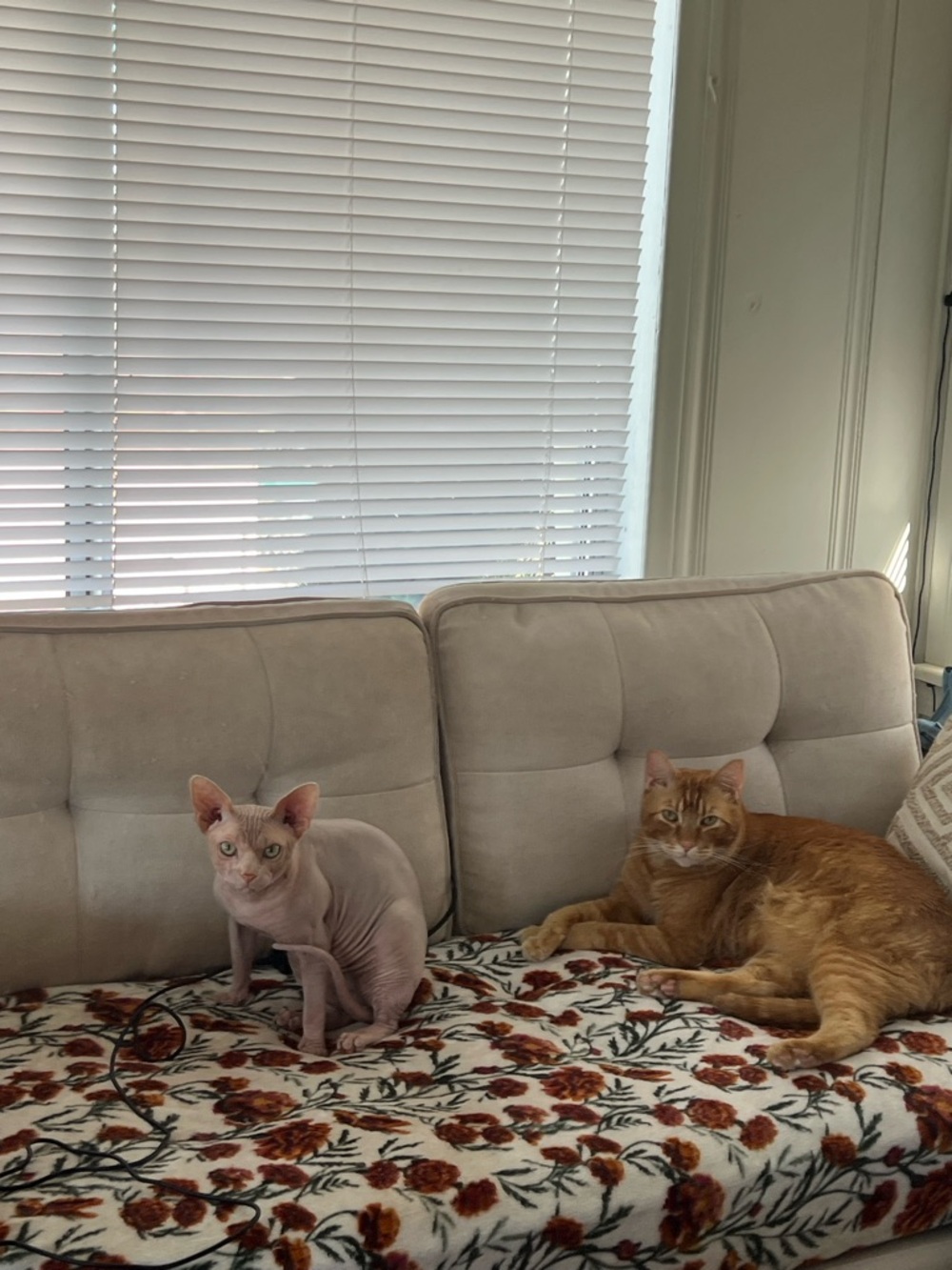 Open to offers! Bundle for big deals💜💜💜